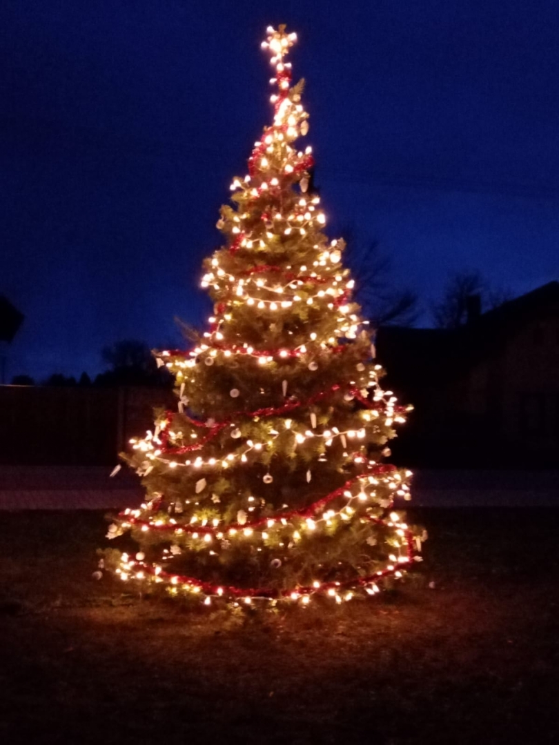 2019-11-30 Rozsvícení vánočního stromečku v Rašovicích